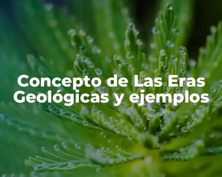 Concepto de Las Eras Geológicas y ejemplos