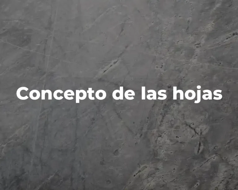 Concepto de las hojas