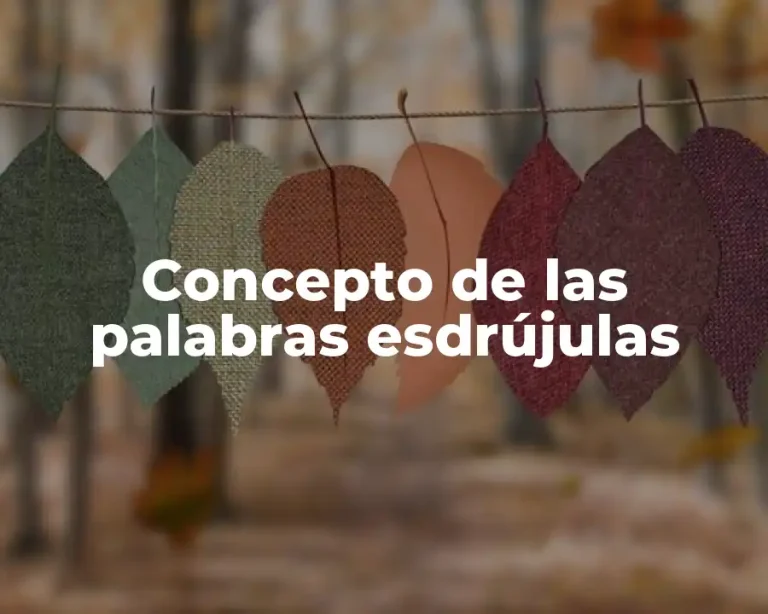 Concepto de las palabras esdrújulas