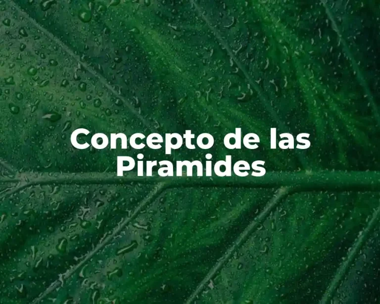 Concepto de las Piramides