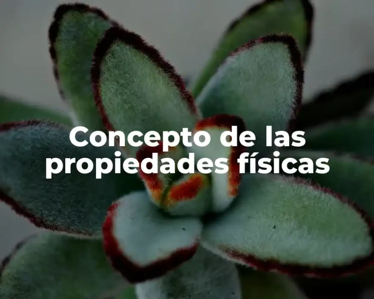 Concepto de las propiedades físicas