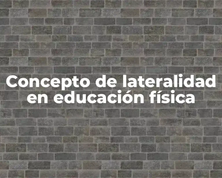 Concepto de lateralidad en educación física