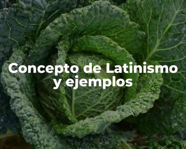 Concepto de Latinismo y ejemplos