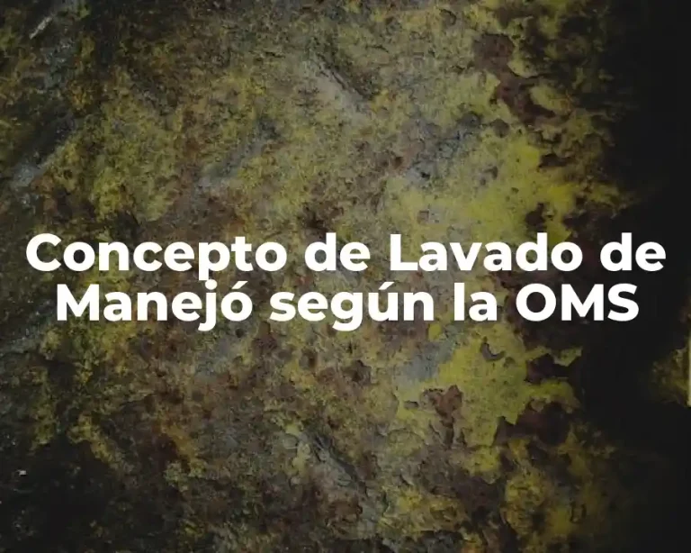 Concepto de Lavado de Manejó según la OMS