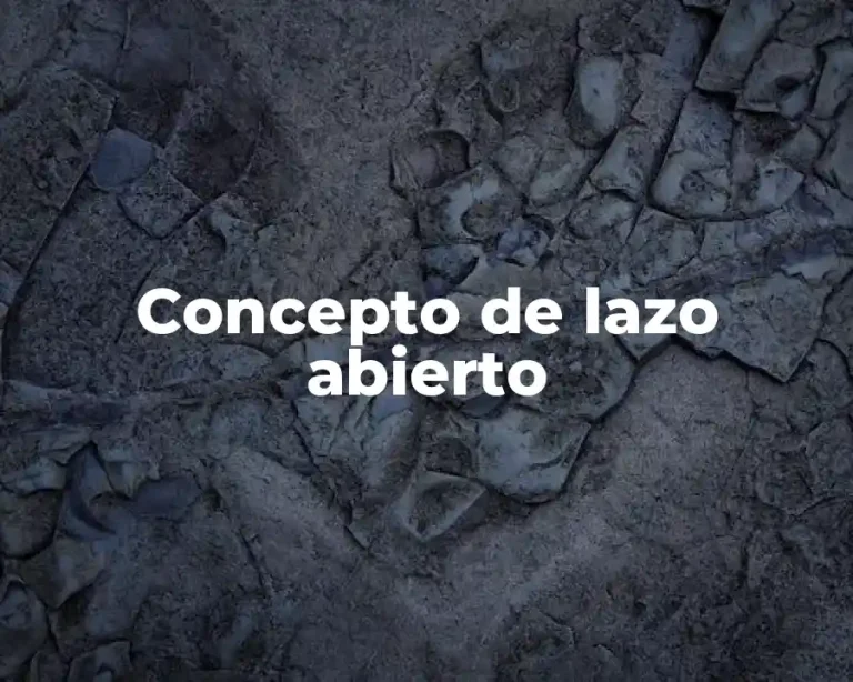 Concepto de lazo abierto