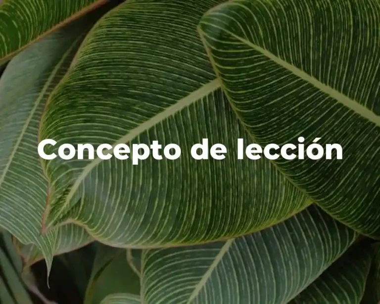 Concepto de lección