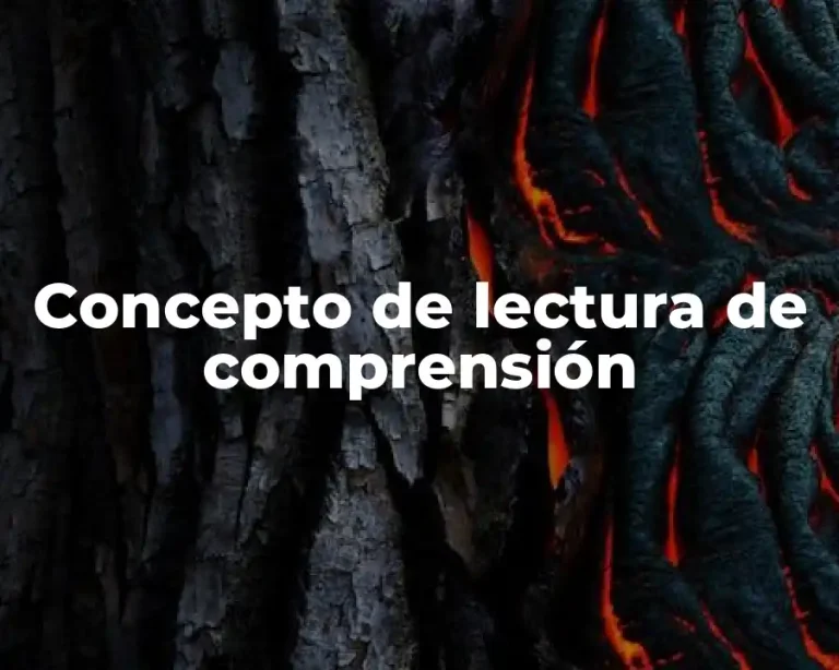 Concepto de lectura de comprensión