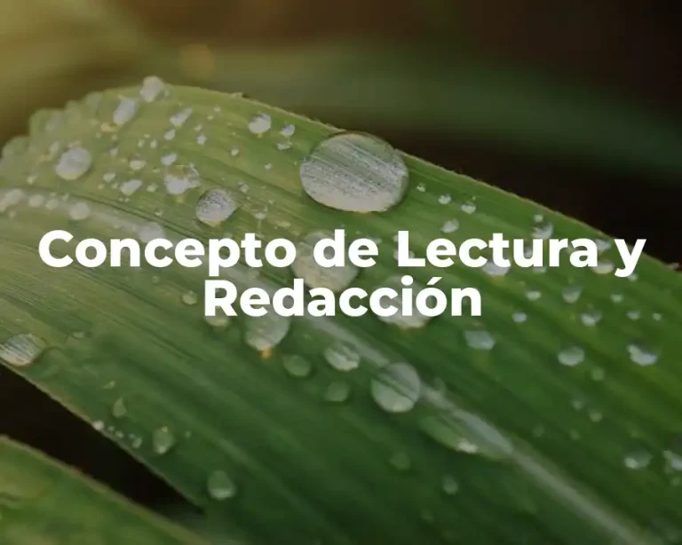 Concepto de Lectura y Redacción