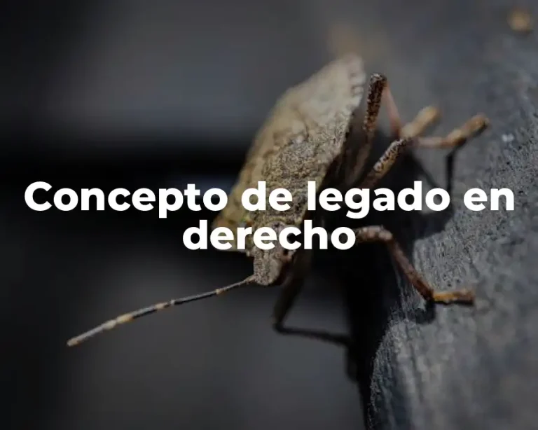 Concepto de legado en derecho