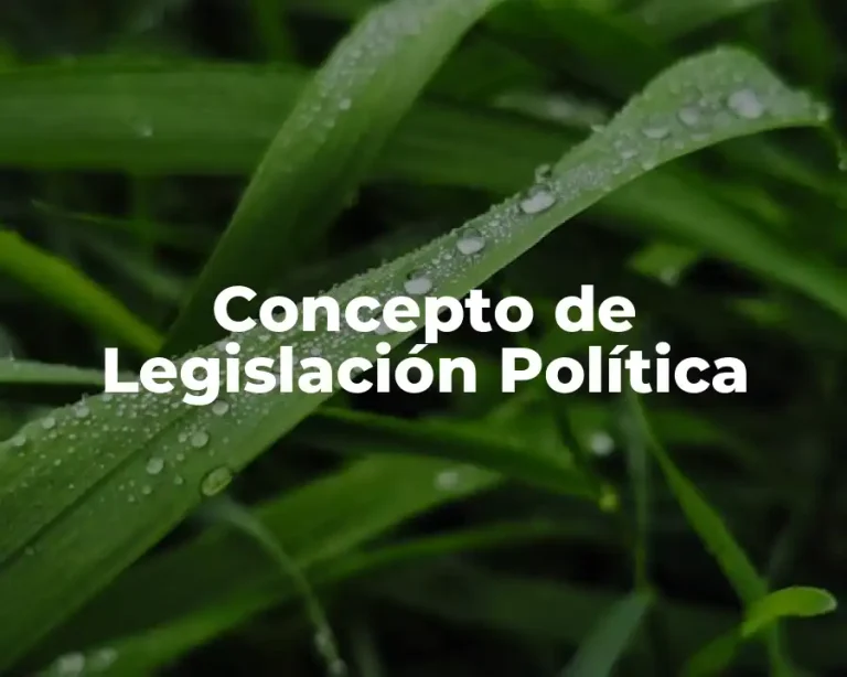 Concepto de Legislación Política