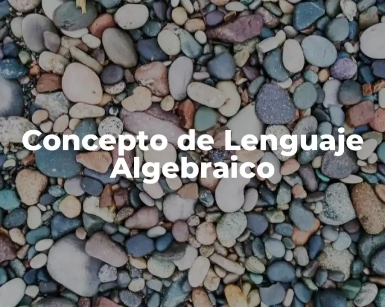 Concepto de Lenguaje Algebraico