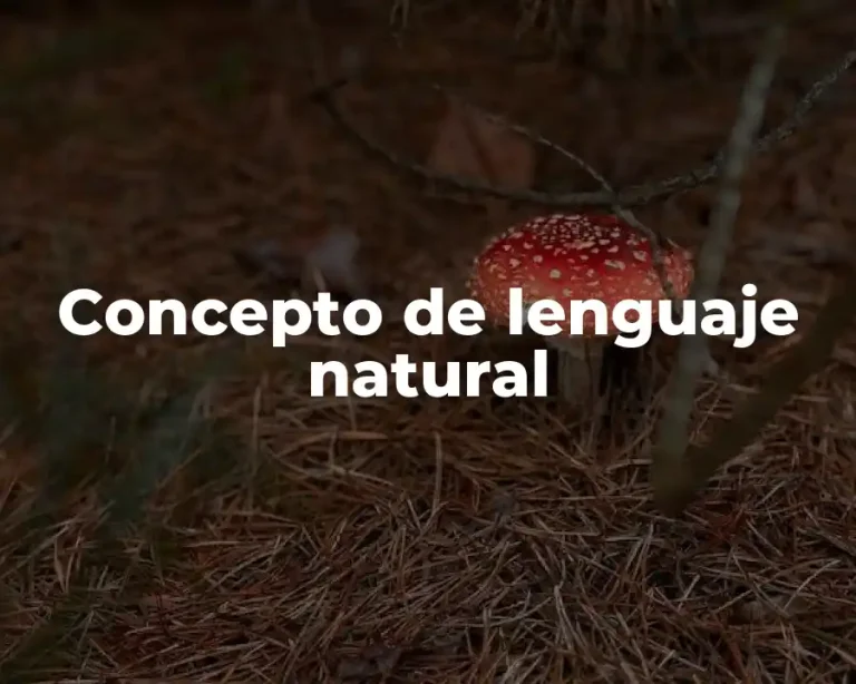 Concepto de lenguaje natural