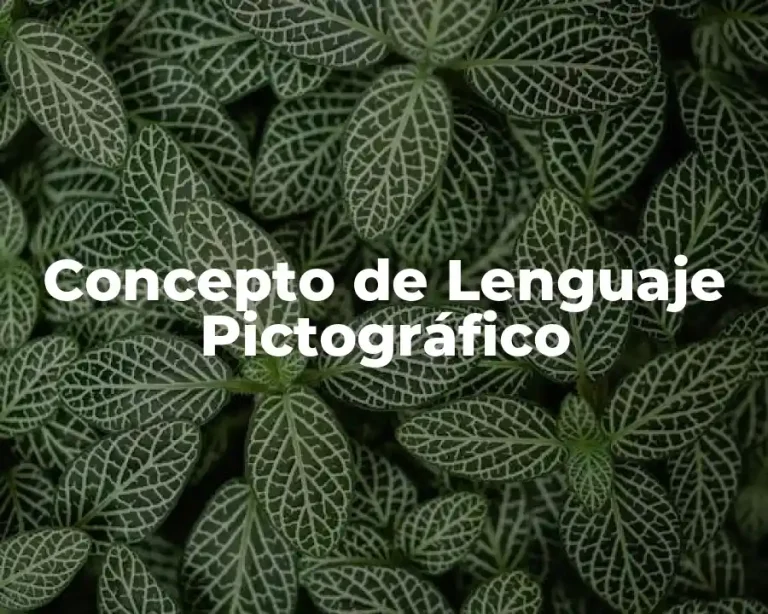 Concepto de Lenguaje Pictográfico