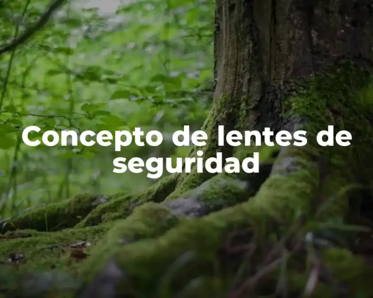 Concepto de lentes de seguridad