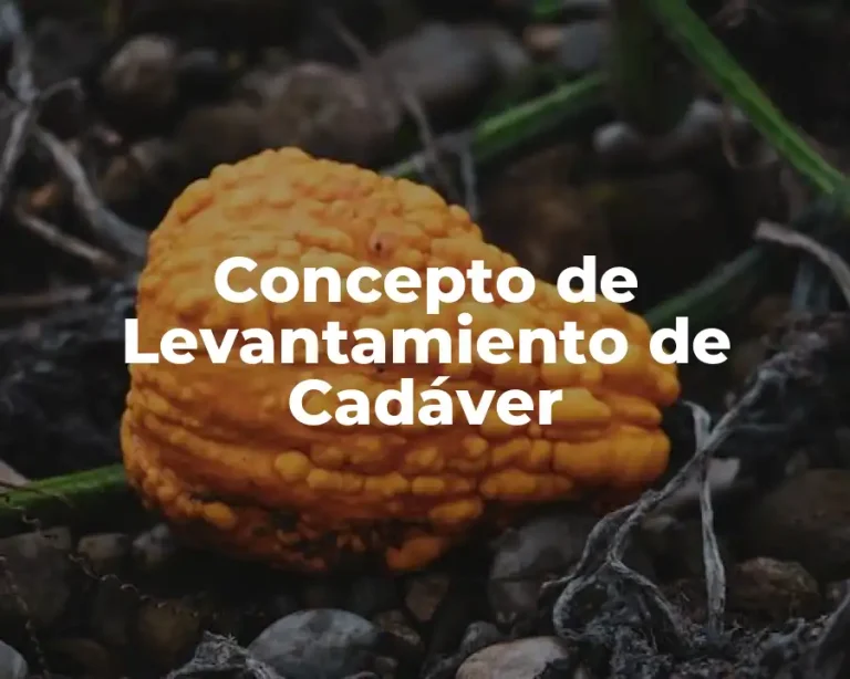 Concepto de Levantamiento de Cadáver