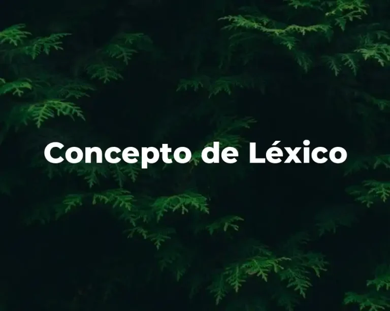 Concepto de Léxico