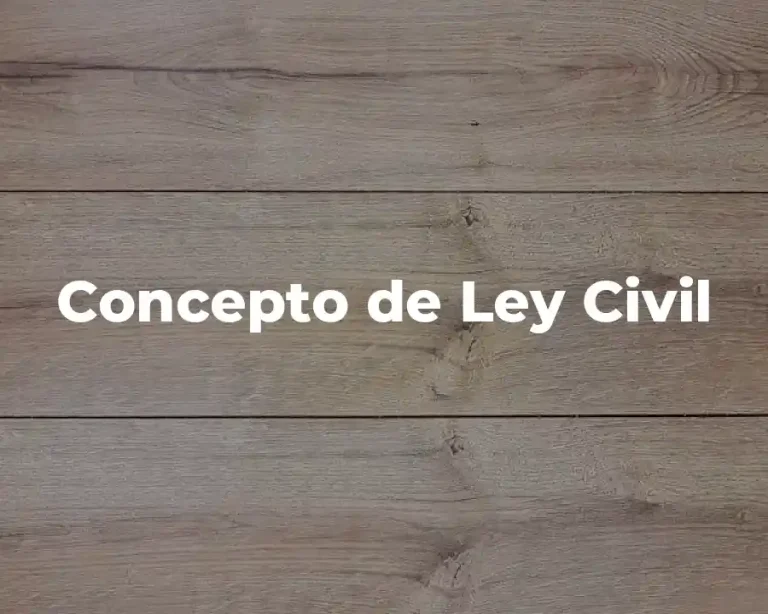 Concepto de Ley Civil