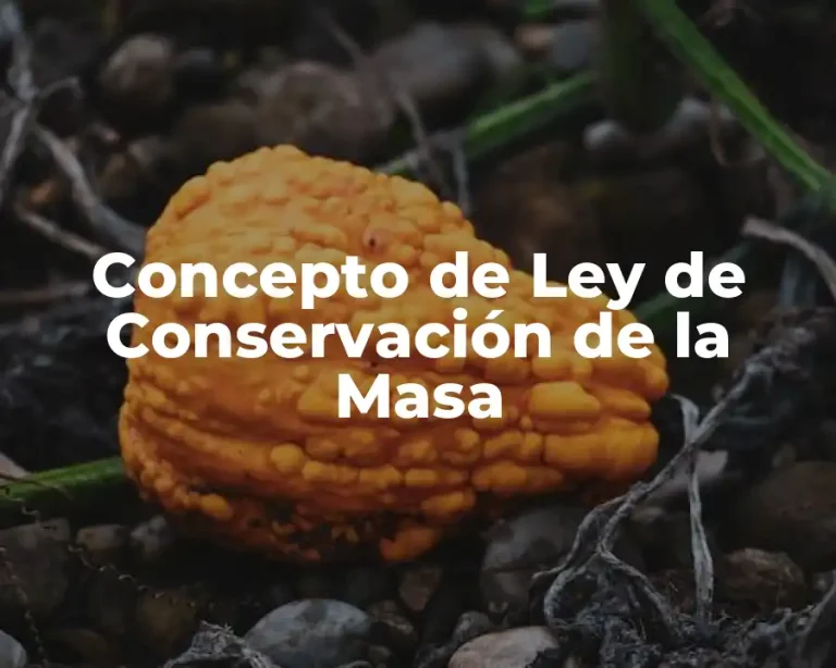 Concepto de Ley de Conservación de la Masa
