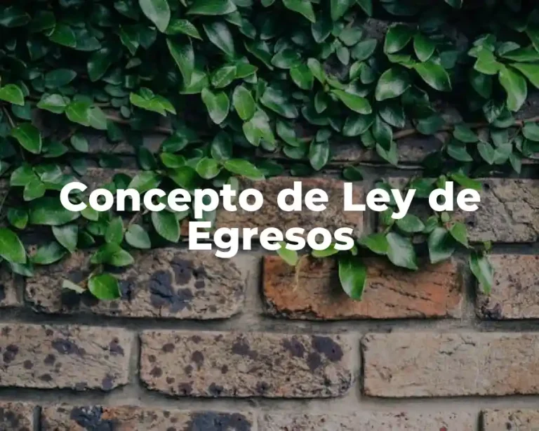 Concepto de Ley de Egresos