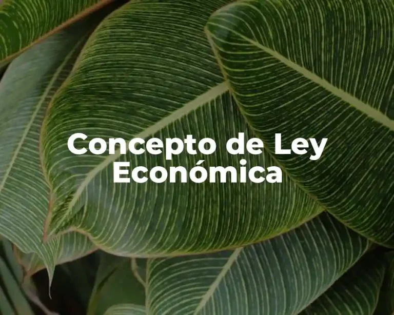 Concepto de Ley Económica