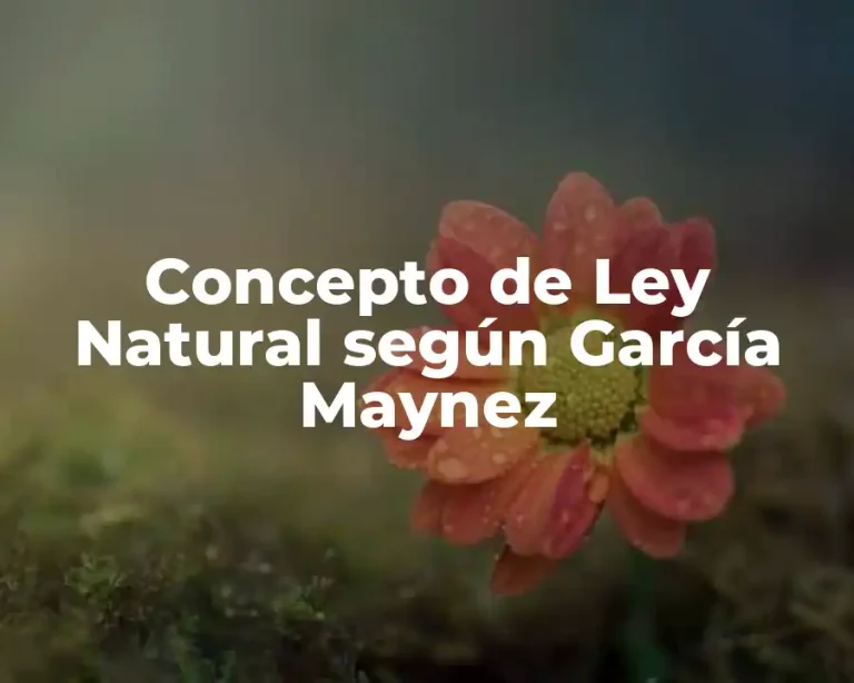 Concepto de Ley Natural según García Maynez