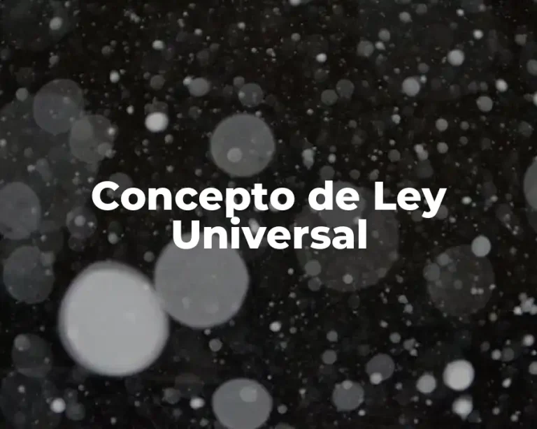 Concepto de Ley Universal