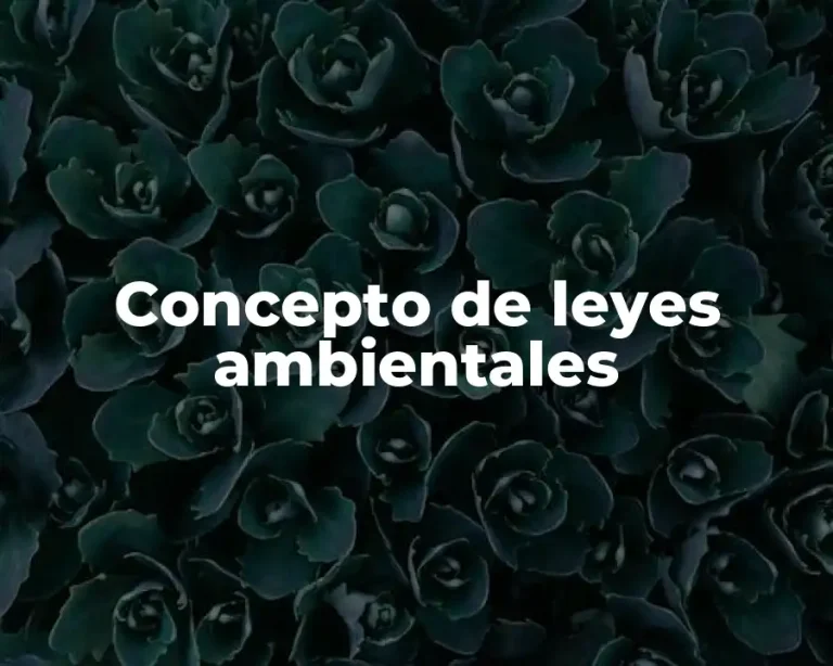 Concepto de leyes ambientales