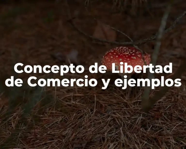 Concepto de Libertad de Comercio y ejemplos