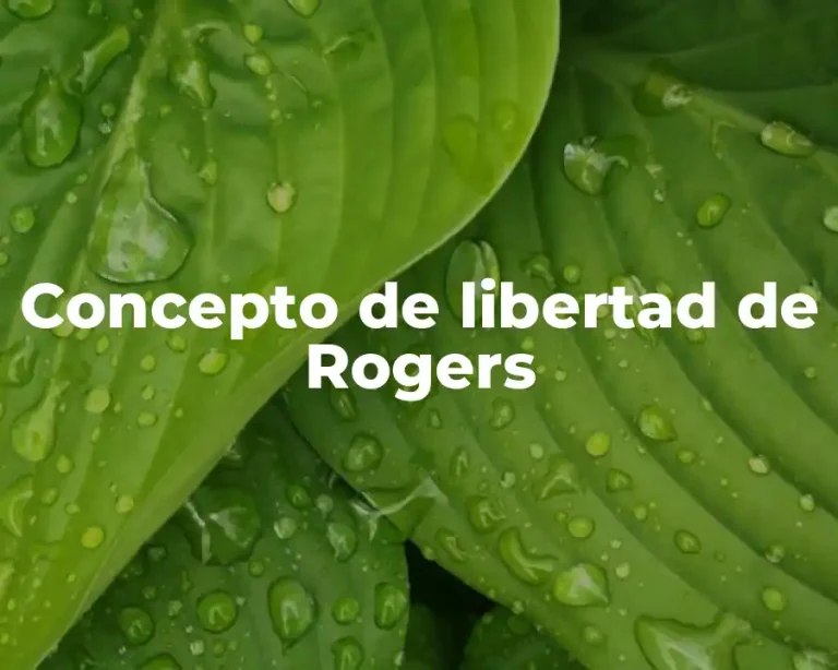 Concepto de libertad de Rogers