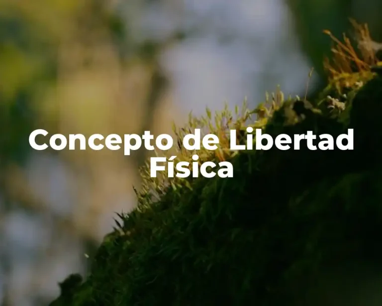 Concepto de Libertad Física