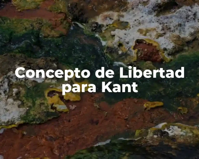 Concepto de Libertad para Kant