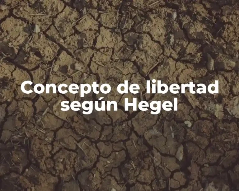 Concepto de libertad según Hegel