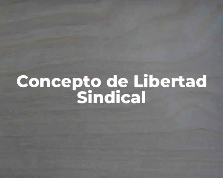 Concepto de Libertad Sindical