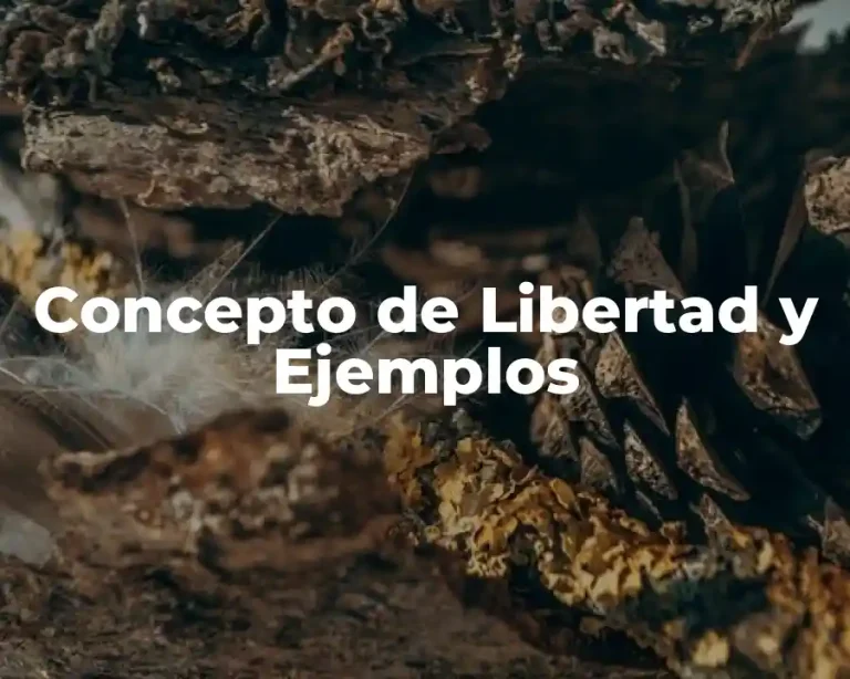 Concepto de Libertad y Ejemplos