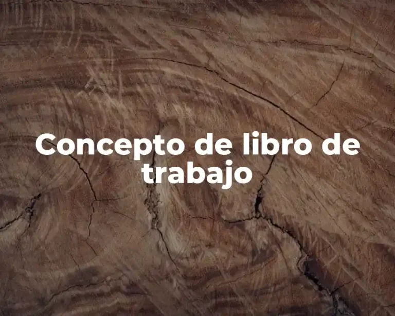 Concepto de libro de trabajo