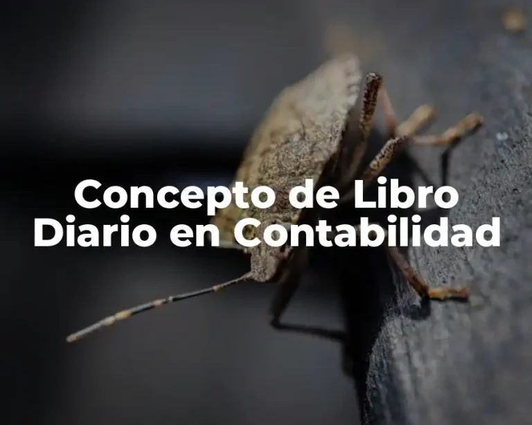 Concepto de Libro Diario en Contabilidad