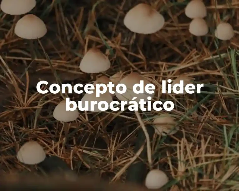 Concepto de lider burocrático