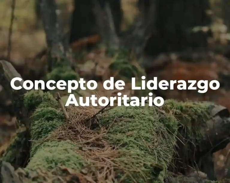 Concepto de Liderazgo Autoritario