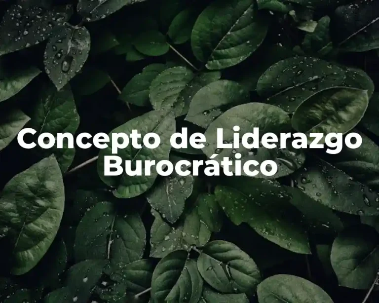 Concepto de Liderazgo Burocrático