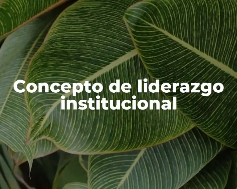 Concepto de liderazgo institucional
