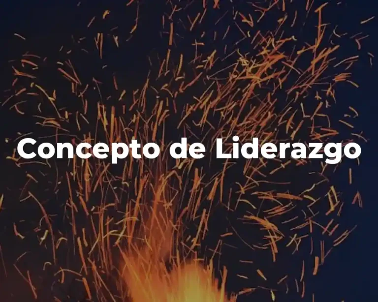 Concepto de Liderazgo