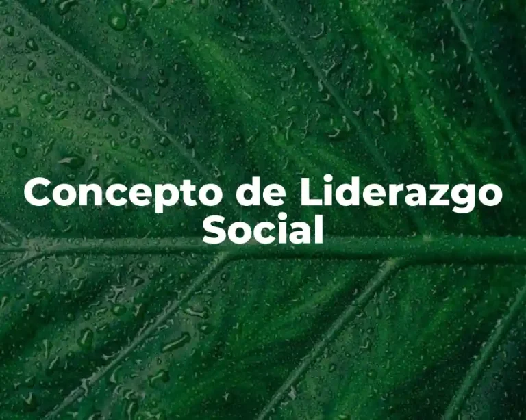 Concepto de Liderazgo Social