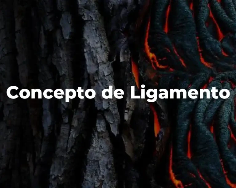 Concepto de Ligamento