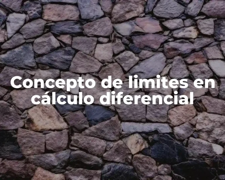 Concepto de limites en cálculo diferencial
