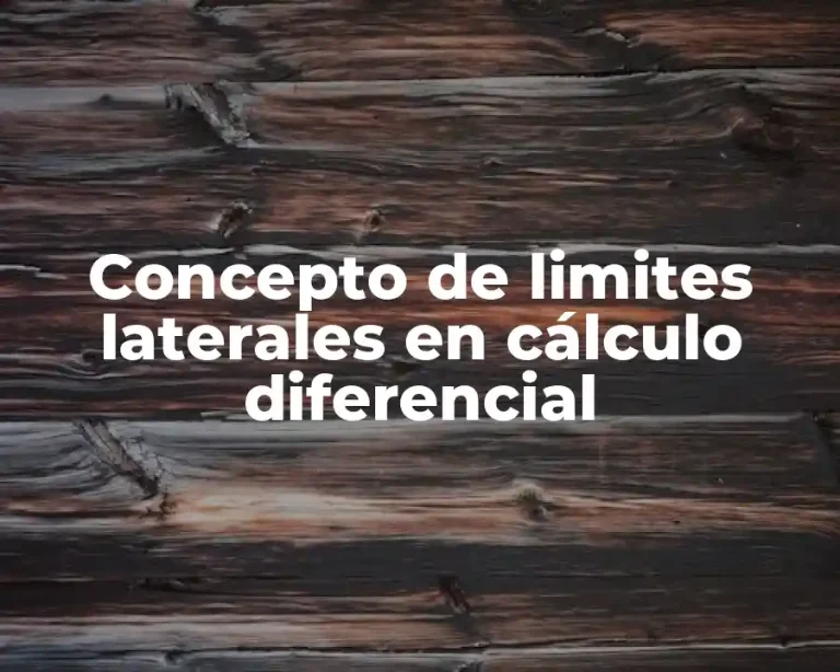 Concepto de limites laterales en cálculo diferencial