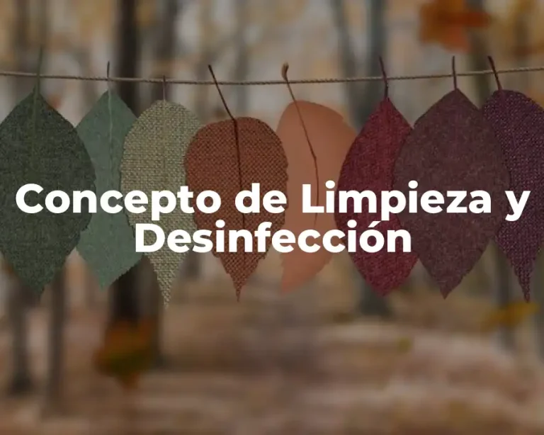 Concepto de Limpieza y Desinfección