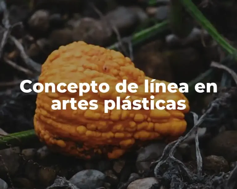 Concepto de línea en artes plásticas