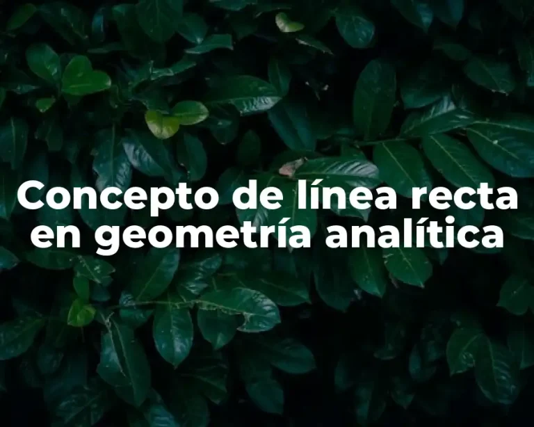 Concepto de línea recta en geometría analítica
