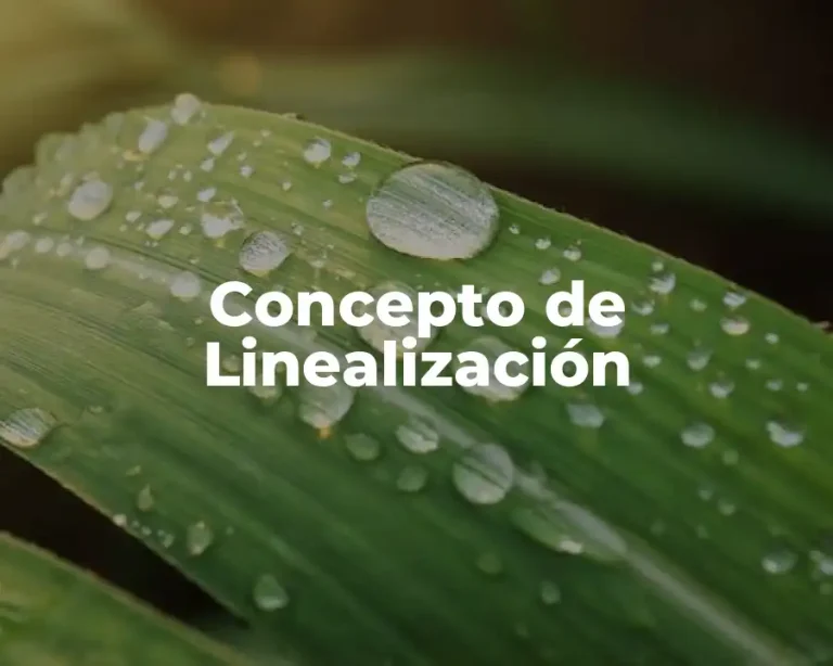 Concepto de Linealización