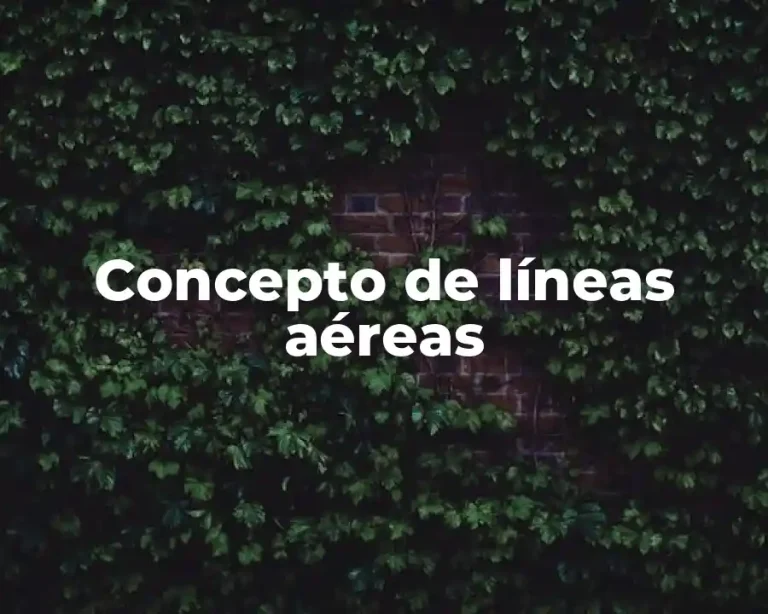 Concepto de líneas aéreas